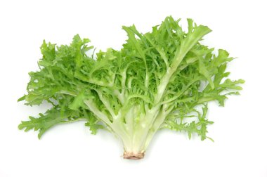 Endive leaves clipart