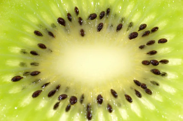 Kiwi slice closeup — Stock Photo, Image