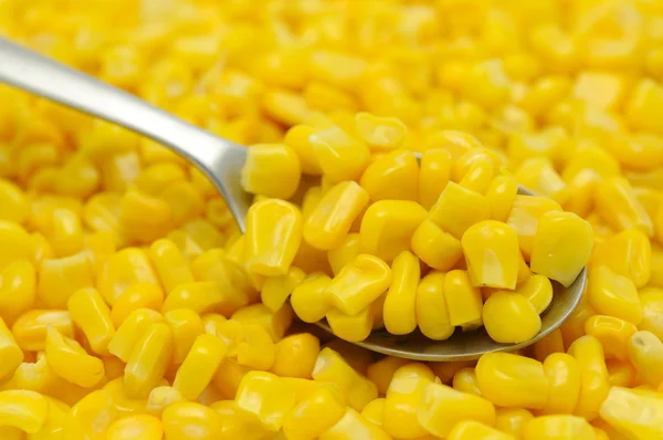 Ложка ядер солодкої кукурудзи — стокове фото