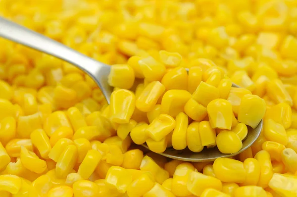 stock image Spoon of sweetcorn kernels