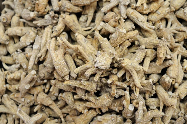 Ginseng arka plan