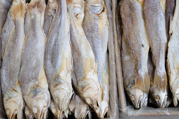 Background of salted fish — Stock Photo, Image
