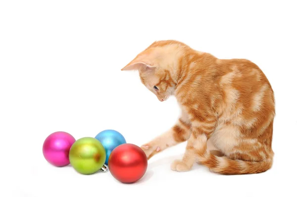 Kitten playing christmas balls — Stock Photo, Image
