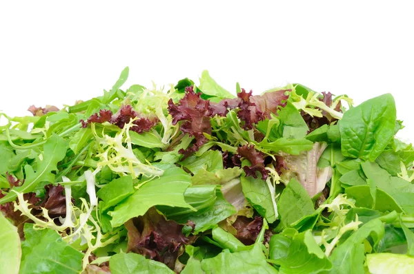 Fundo de salada verde — Fotografia de Stock