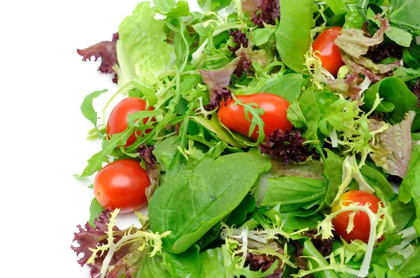 Zöld salátával háttér — Stock Fotó