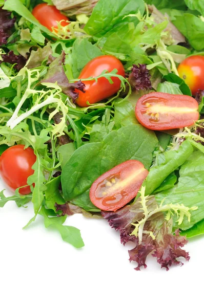 Zelený salát a rajčata — Stock fotografie