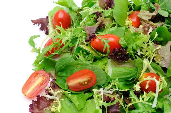 Зеленый салат и помидоры — стоковое фото