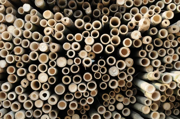 Background of bamboo — Stock Photo, Image