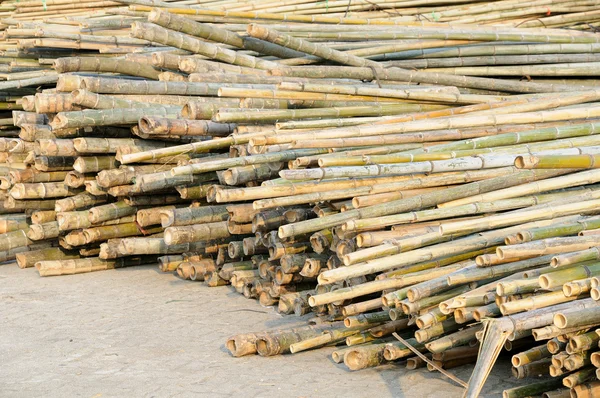 stock image Stack of bamboo