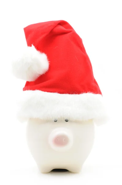Свинка в рождественской шляпе — стоковое фото