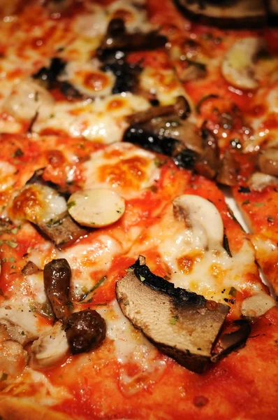 Cogumelo Pizza close-up — Fotografia de Stock