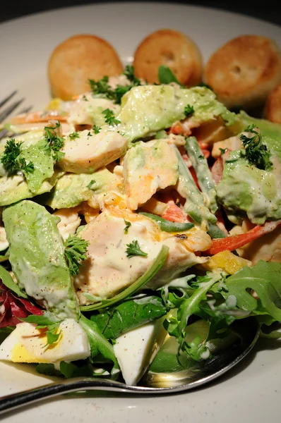 Kip en avocado salade — Stockfoto