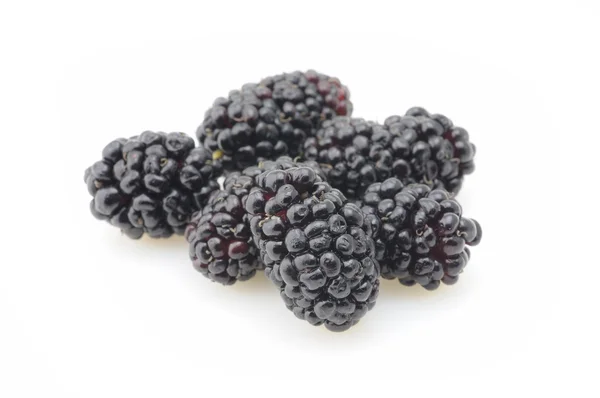 Blackberries closeup — Stock Photo, Image