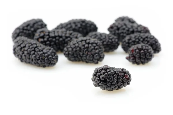 Blackberries крупным планом — стоковое фото