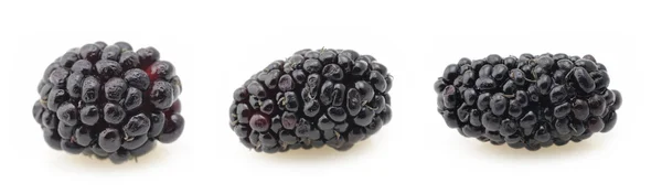 Blackberries closeup — Stock Photo, Image