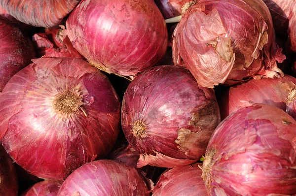 stock image Red onion background