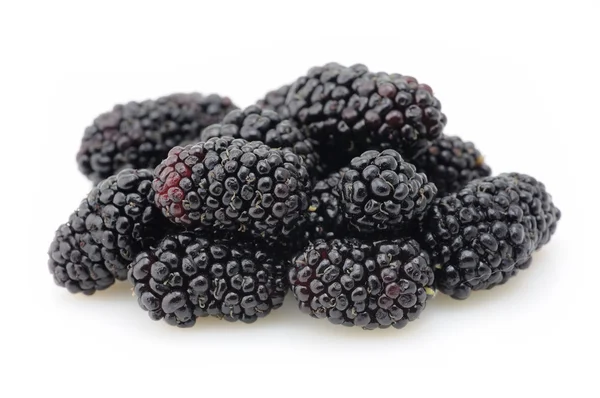 Blackberries крупным планом — стоковое фото