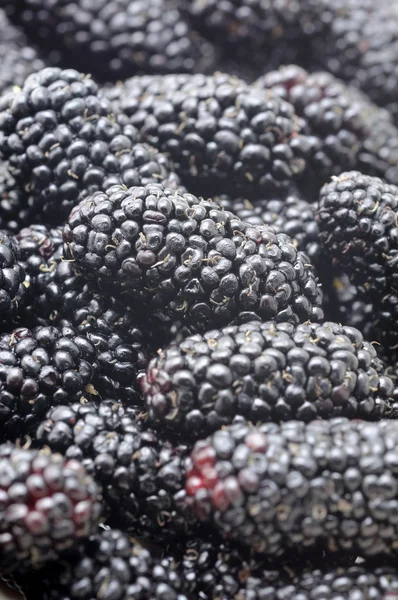Blackberries fond — Photo