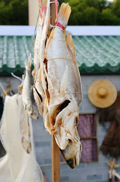 Getrockneter gesalzener Fisch — Stockfoto