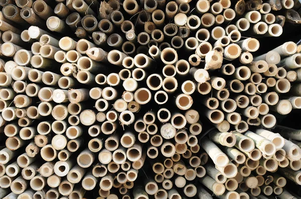 Background of bamboo — Stock Photo, Image