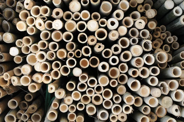 Achtergrond van bamboe — Stockfoto