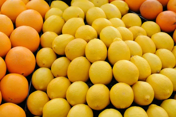 Лимон и апельсин — стоковое фото
