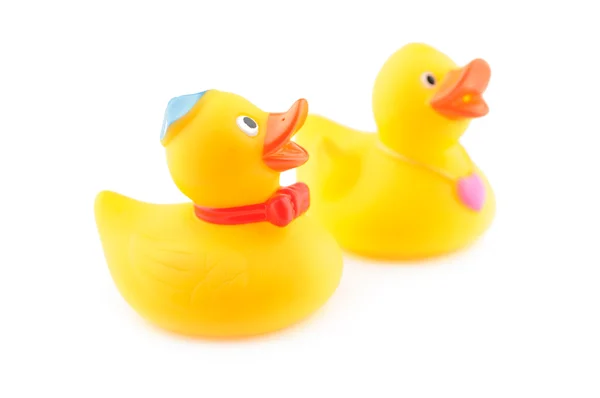 Rubber duck paar — Stockfoto
