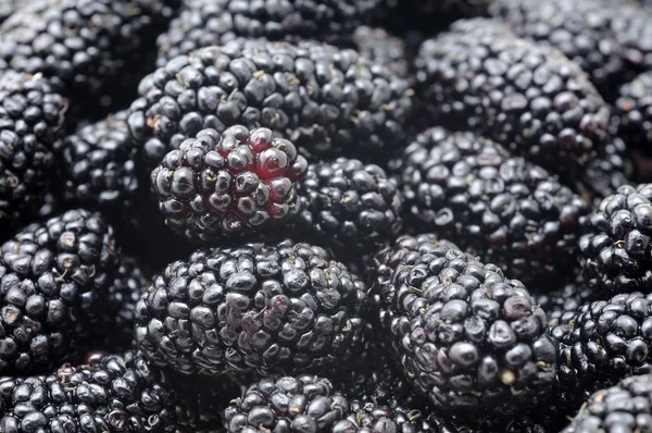 Blackberries background — Stock Photo, Image