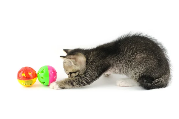 ボールで遊ぶ子猫 — ストック写真