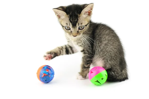 Kitty playing with balls — Stock Photo, Image