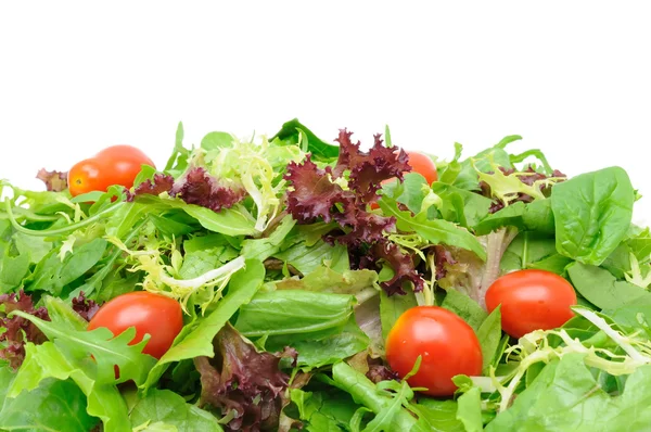 Зеленый салат фон Лицензионные Стоковые Фото