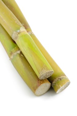 Sugar cane clipart