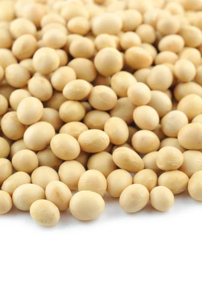Close up of soy beans — Stock Photo, Image