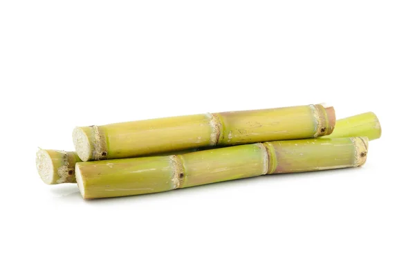 stock image Sugar cane