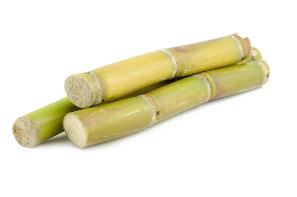 stock image Sugar cane