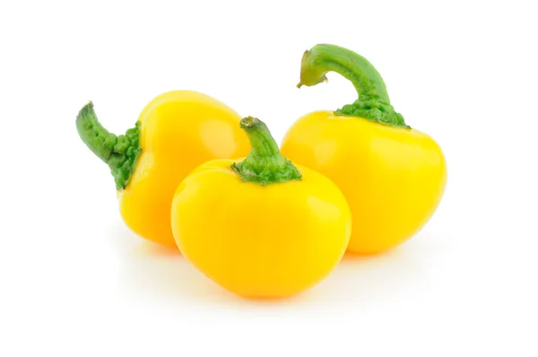 Žlutý baby bell peppers — Stock fotografie