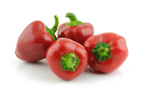 Red baby bell peppers — Stok Foto