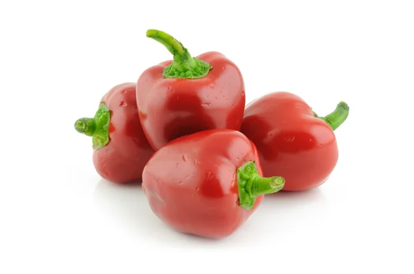 Baby červená paprika — Stock fotografie