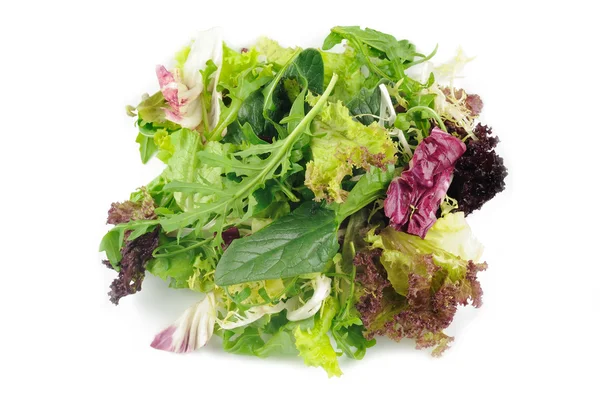Salade verte mixte — Photo