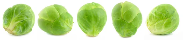 Yeşil Brüksel lahanası — Stok fotoğraf