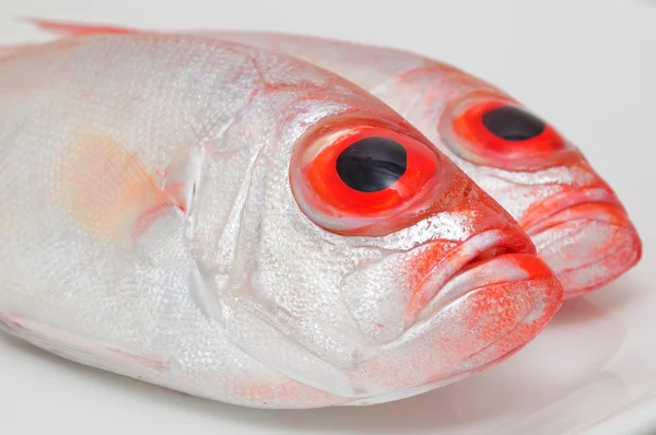 Wielkie oko ryby — Zdjęcie stockowe
