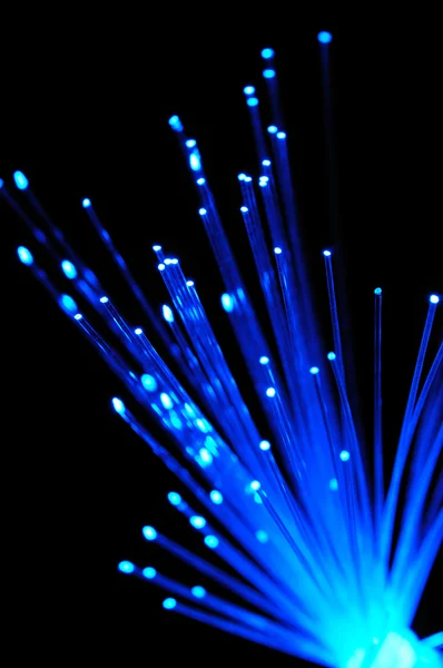 stock image Blue optical fibers
