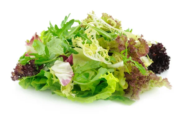 Смешанный зеленый салат Стоковая Картинка