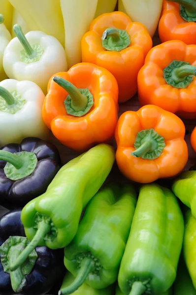 Colorful bell peppers — Stock Photo, Image