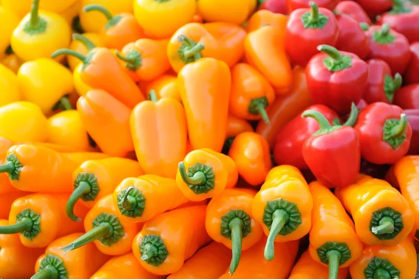 Barevné papriky — Stock fotografie