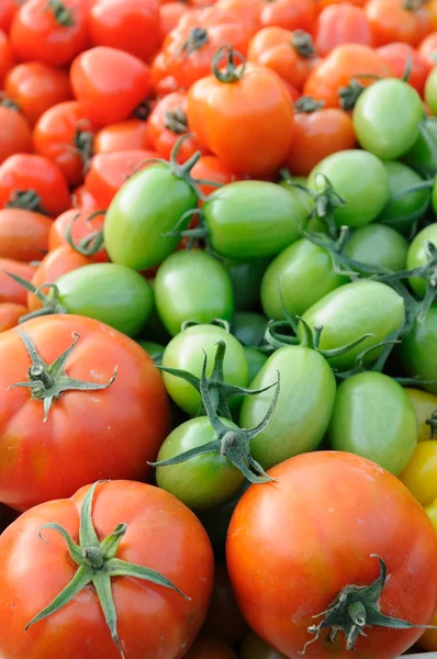 Kleurrijke geassorteerde tomaten — Stockfoto