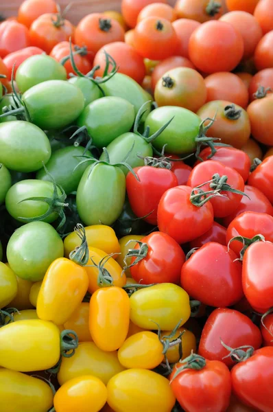 화려한 모듬된 토마토 — 스톡 사진