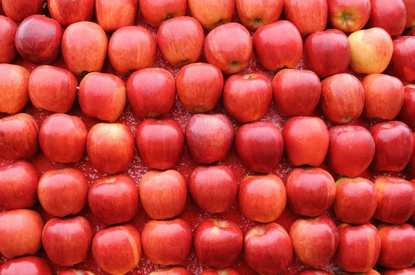 Bakgrund av röda äpplen — Stockfoto
