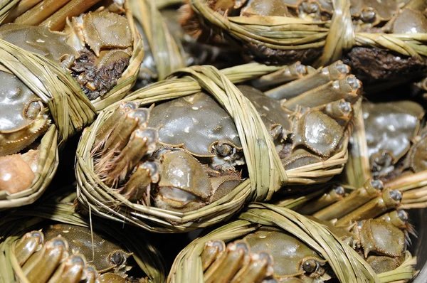 上海蟹的关门 — 图库照片