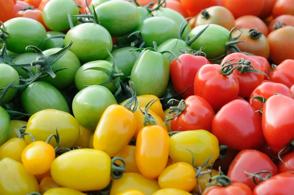 Colorful assorted tomatoes — Stock Photo, Image
